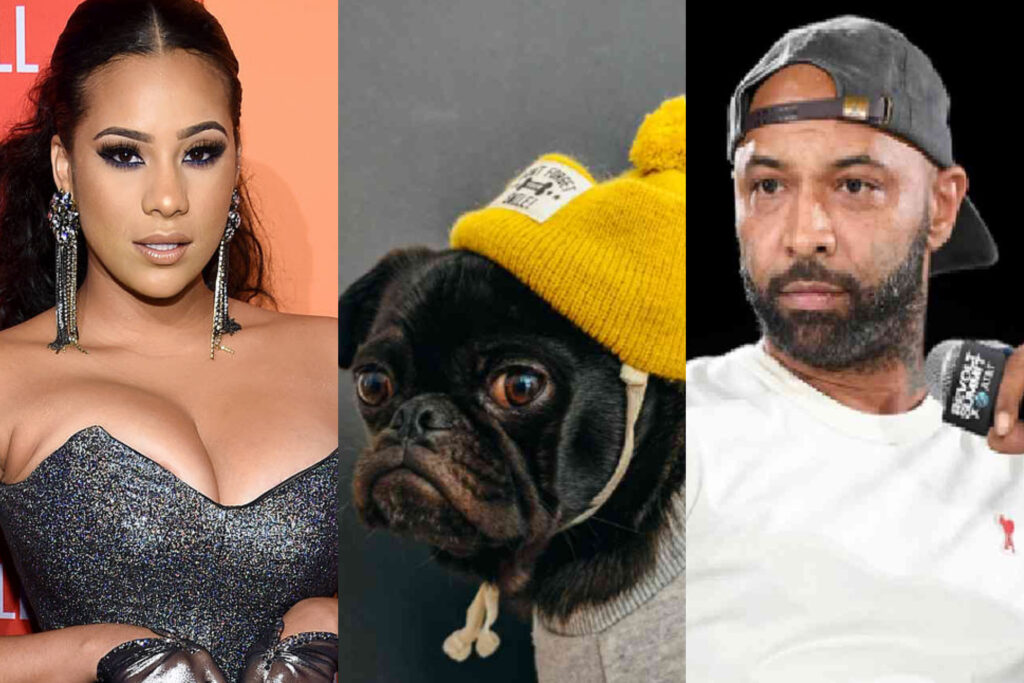 NOW WAIT A DOGGONE MINUTE!: Joe Budden Accused Of Masturbating His Dog In Cyn Santana’s Alleged Legal Papers