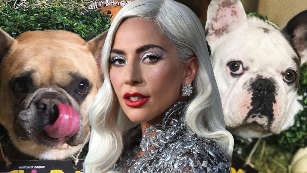 I BLAME CRUELLA: Lady Gaga Reunited With Her Dogs After Woman Turns Them Over To Police Following Brutal Shooting