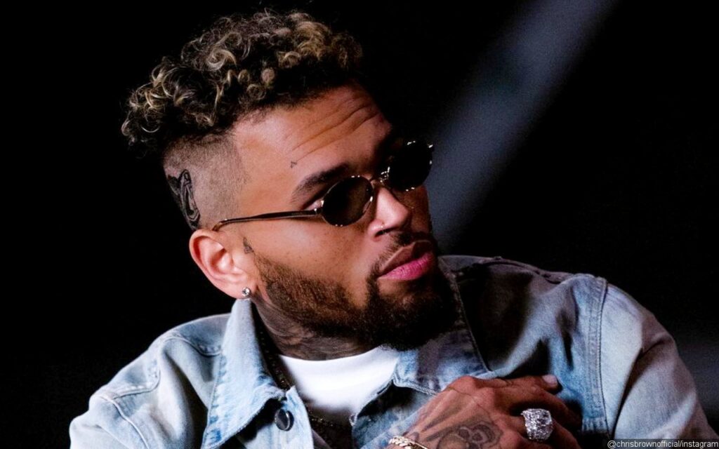 LET ME IF YOU CAN RUN… THEM COINS: Chris Brown’s Ex-Housekeeper Demands $1 Million Default Judgment In Dog Attack Case After He Allegedly Skips Court Dates